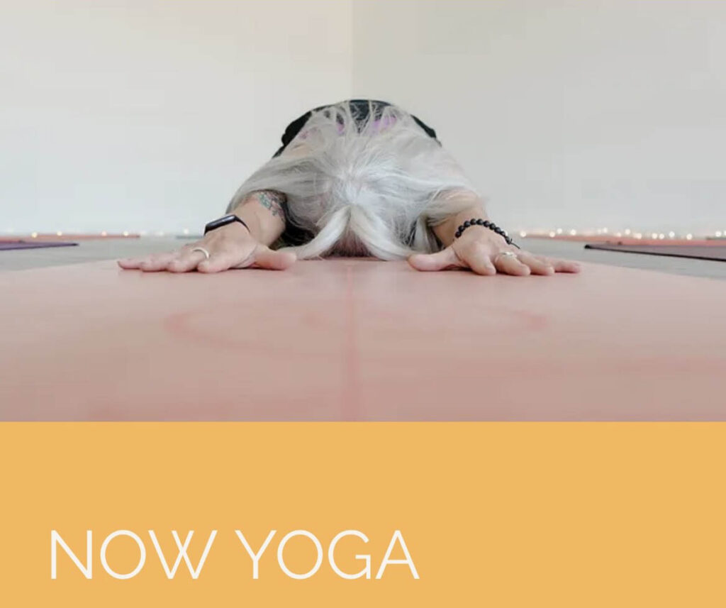 Free Yoga & Meditation Classes Signup Sheet