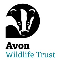 avon wildlife trust logo