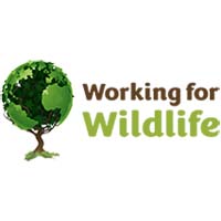 working4wildlife